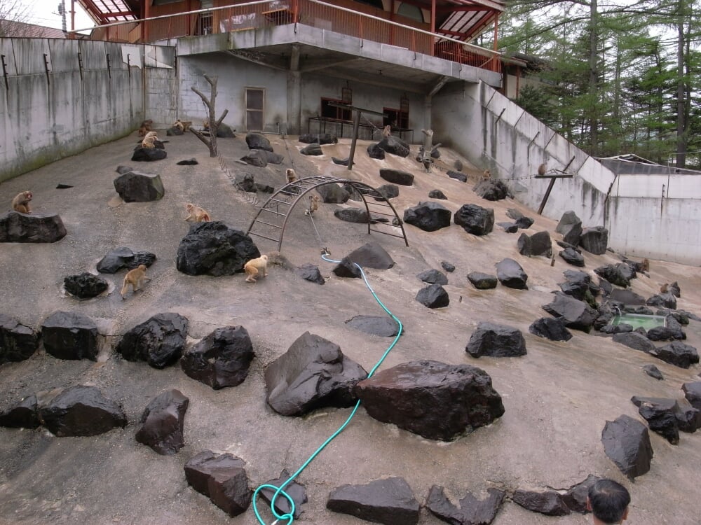 草津熱帯圏の写真5