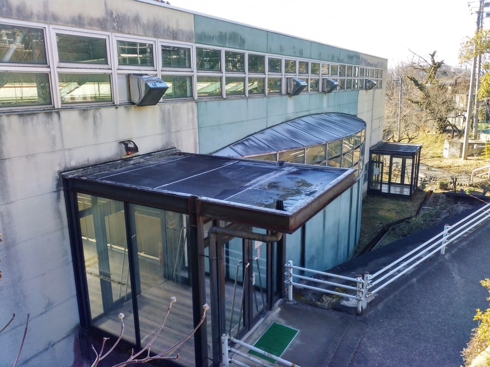 ジャパンスネークセンターの写真4