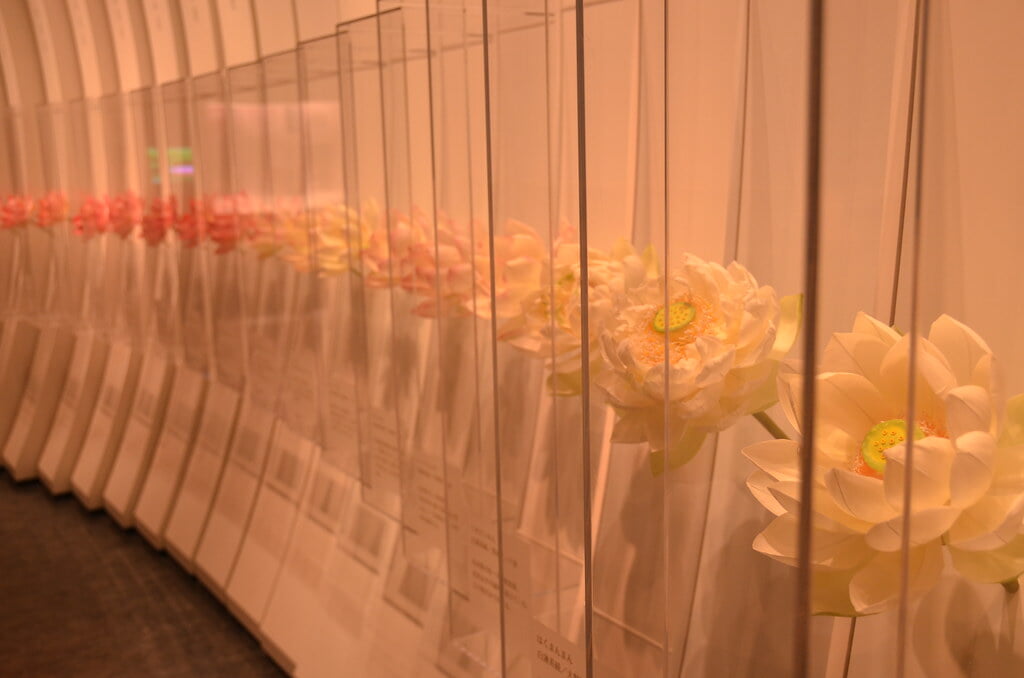 古代蓮会館の写真2