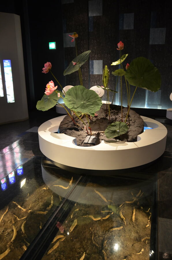 古代蓮会館の写真4