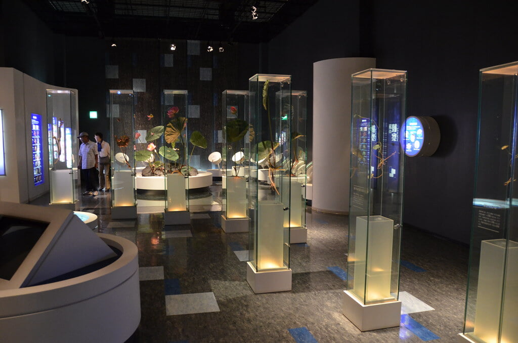 古代蓮会館の写真6