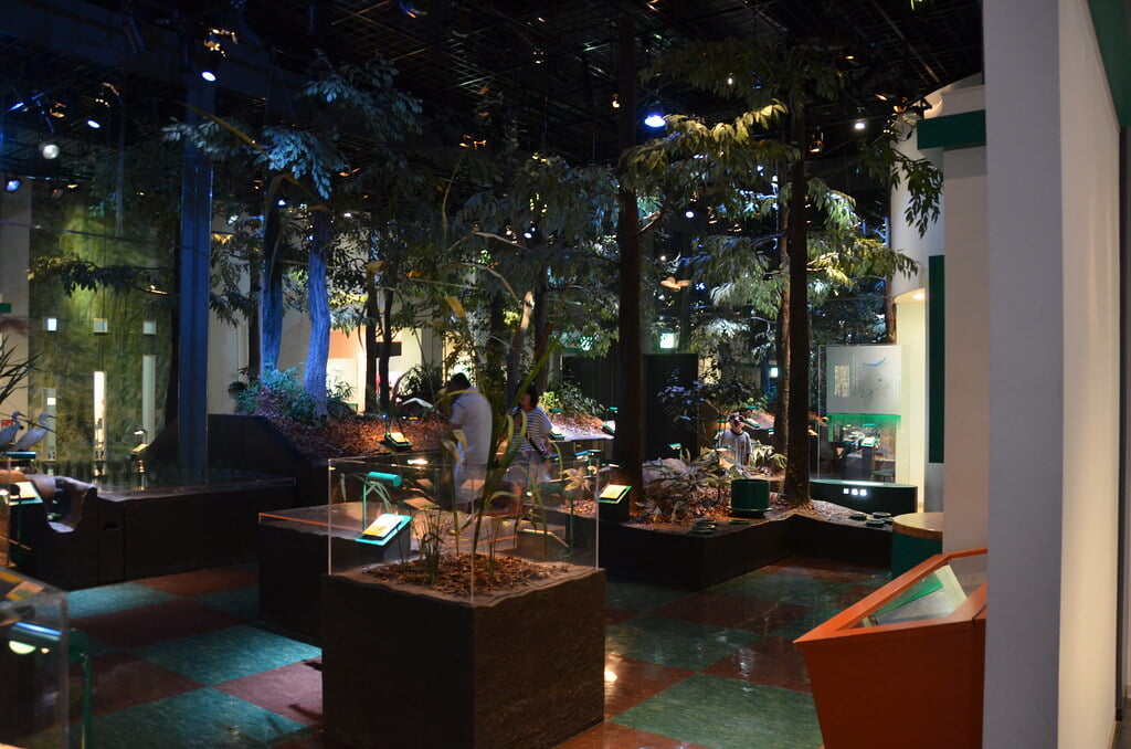 古代蓮会館の写真1