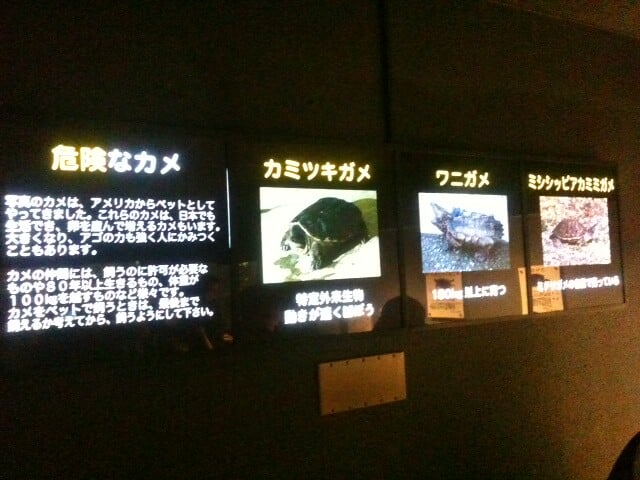 さいたま水族館の写真4