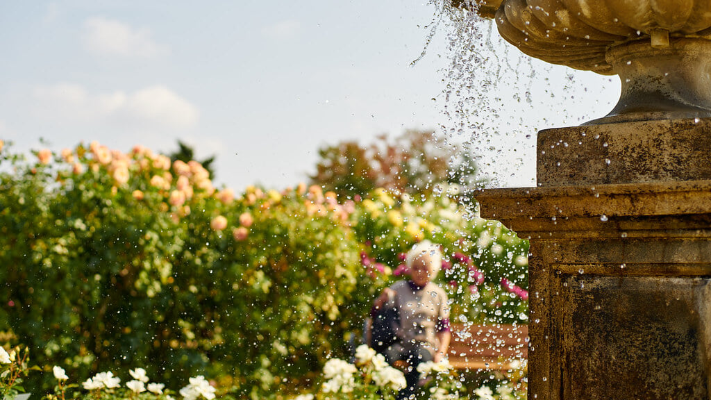 京成バラ園の写真3