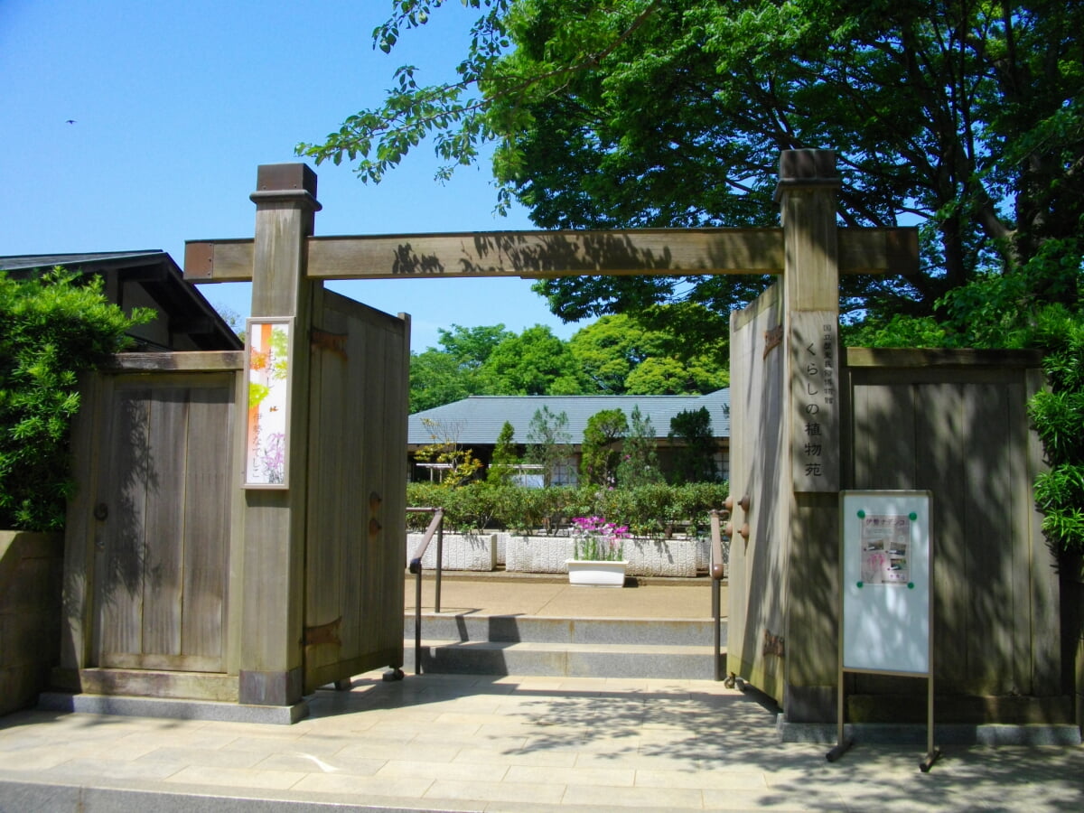 国立歴史民俗博物館 くらしの植物苑の写真1