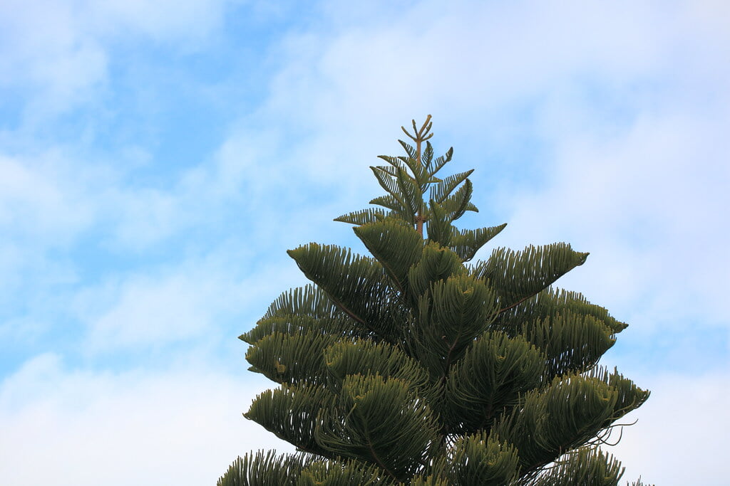 白浜フラワーパークの写真6