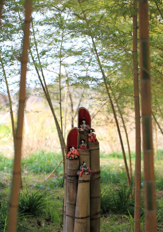 花野辺の里の写真6