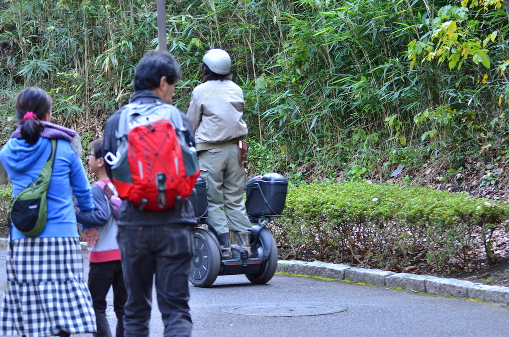 金沢自然公園 金沢動物園の写真2