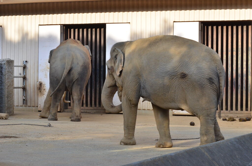金沢自然公園 金沢動物園の写真14