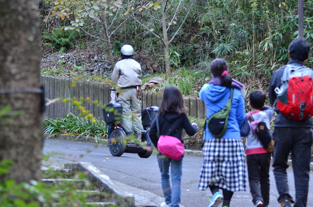 金沢自然公園 金沢動物園の写真18