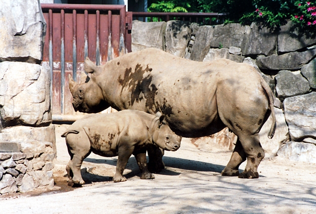 金沢自然公園 金沢動物園の写真19