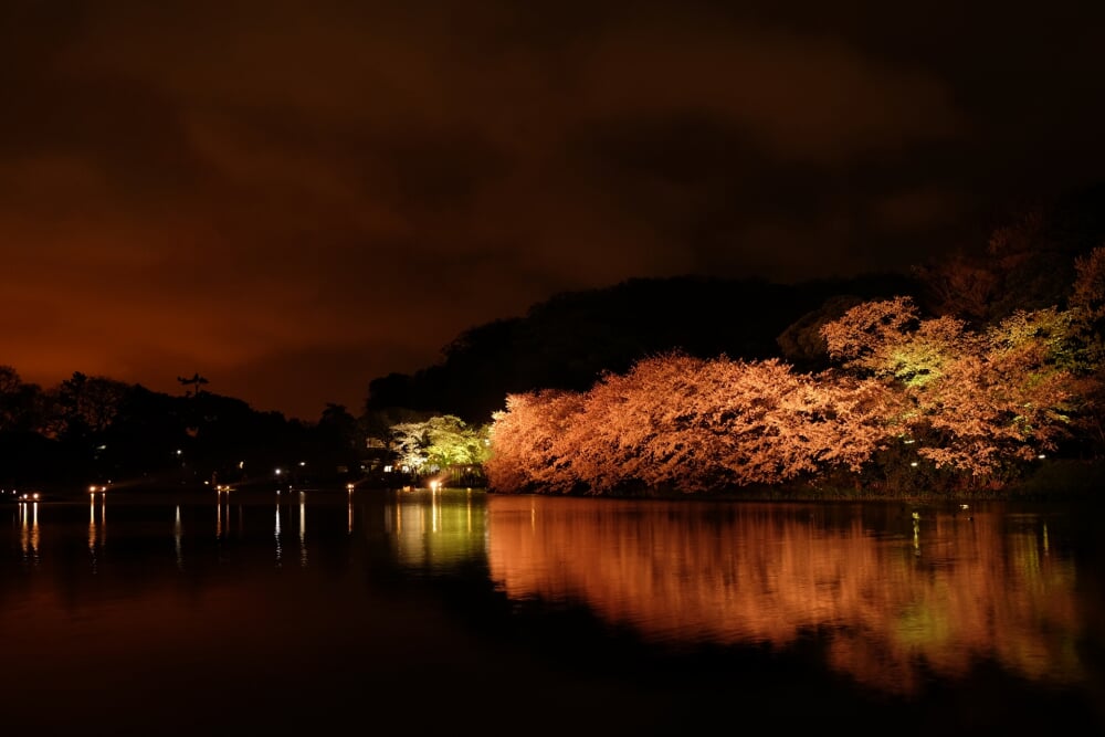 三溪園の写真10