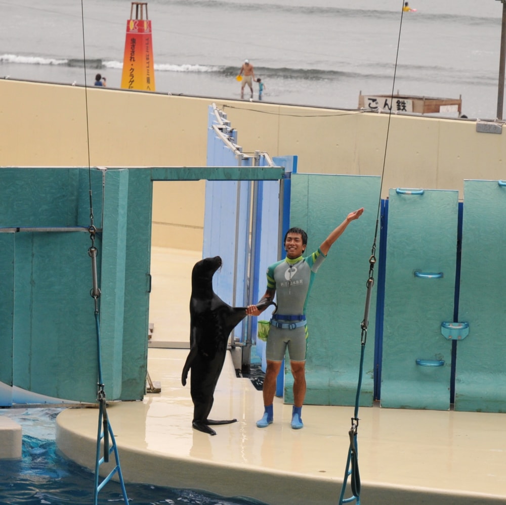 新江ノ島水族館の写真3