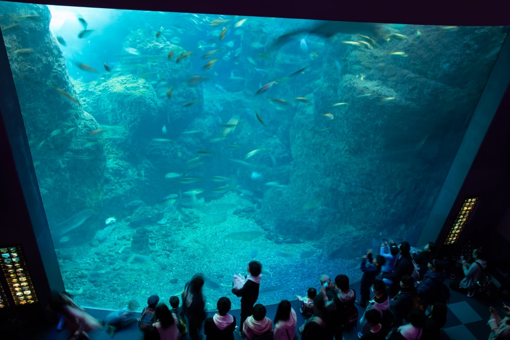 新江ノ島水族館の写真4