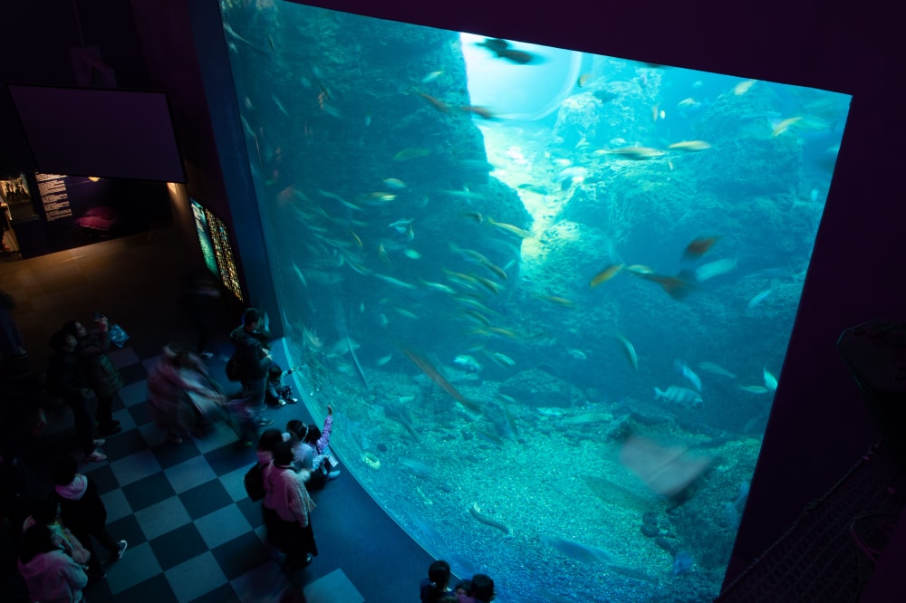 新江ノ島水族館の写真6