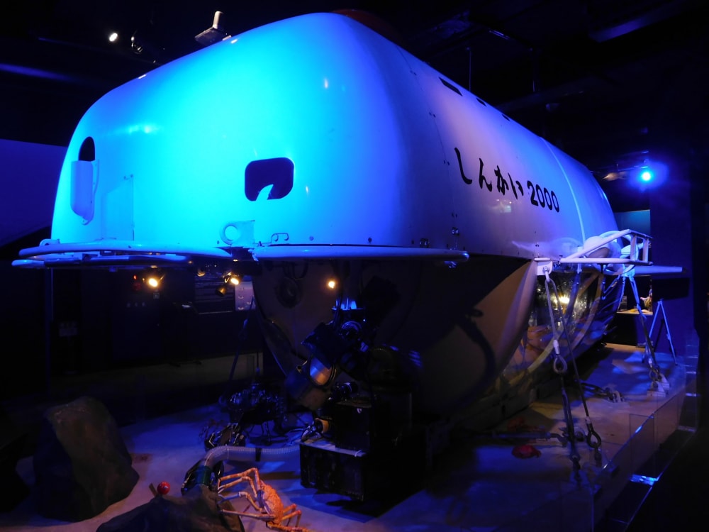 新江ノ島水族館の写真9