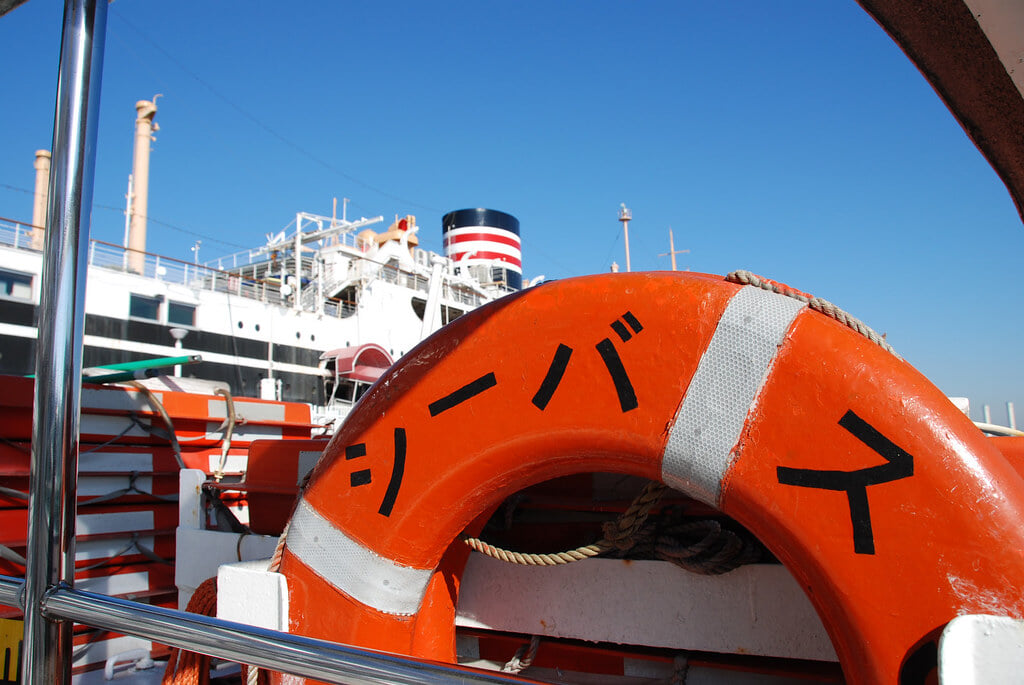 シーバスの写真2