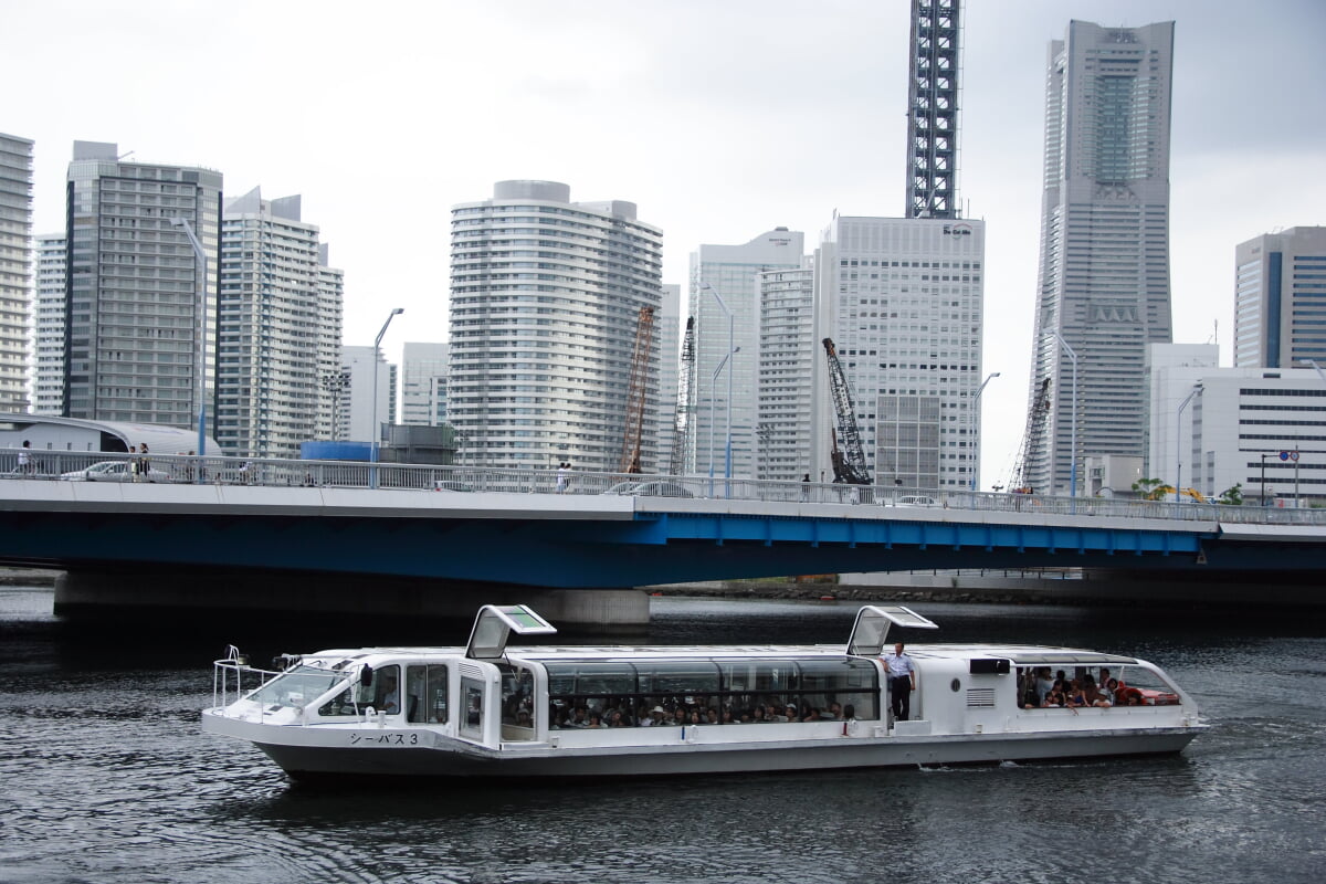 シーバスの写真3