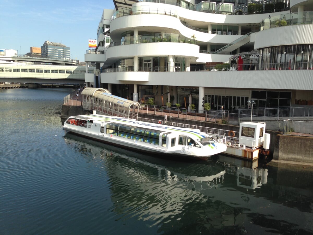 シーバスの写真4