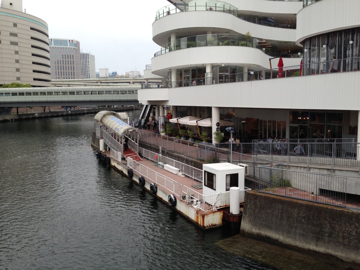 シーバスの写真5