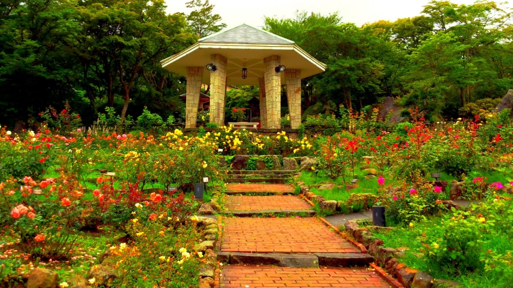 箱根強羅公園の写真5