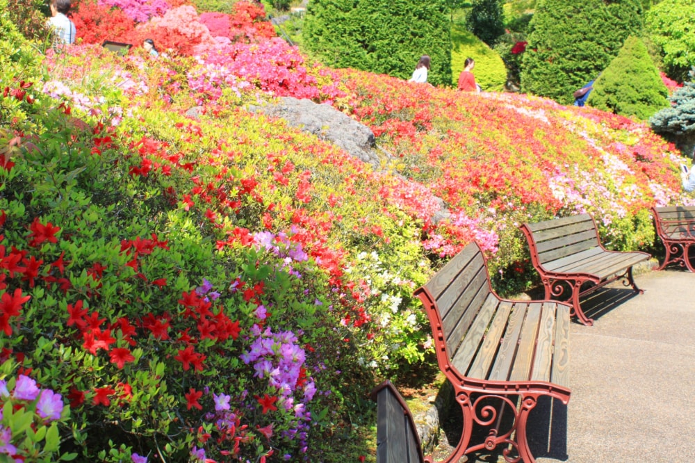 箱根強羅公園の写真6