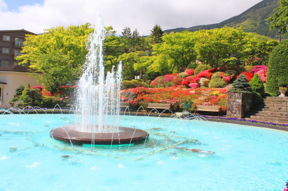 箱根強羅公園の写真8