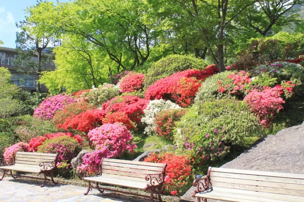箱根強羅公園の写真1