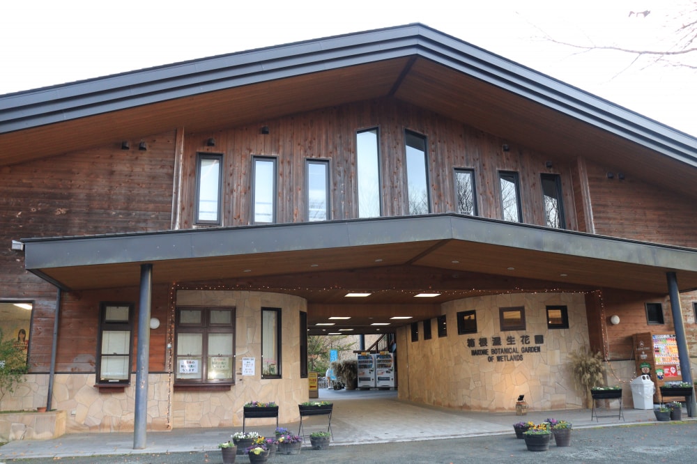 箱根湿生花園の写真3