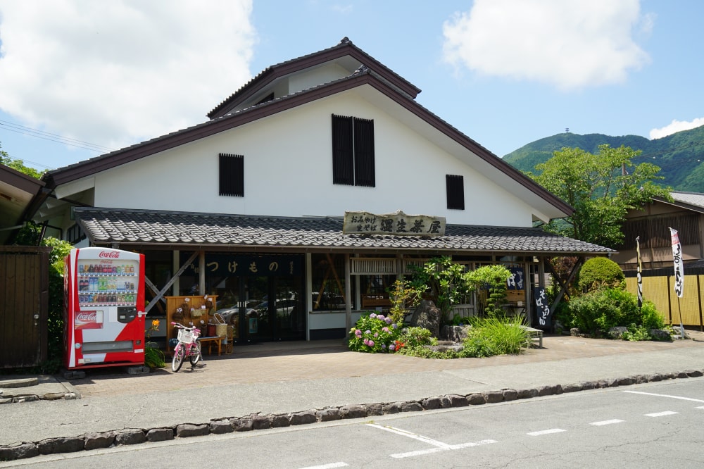 箱根湿生花園の写真4