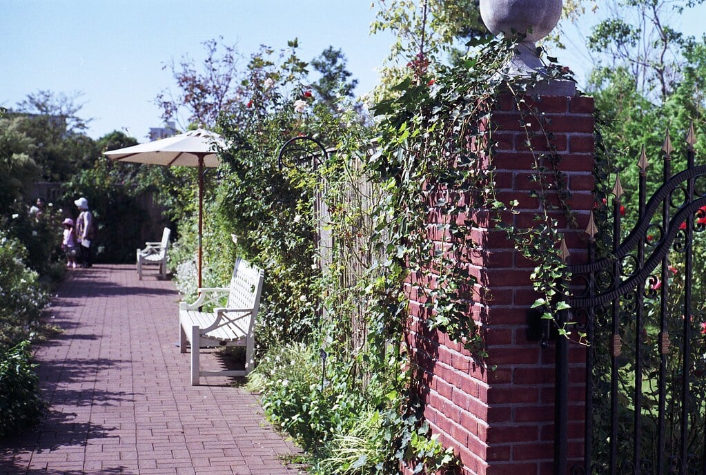 横浜イングリッシュガーデンの写真4