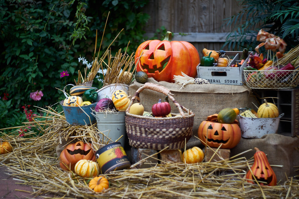 横浜イングリッシュガーデンの写真5