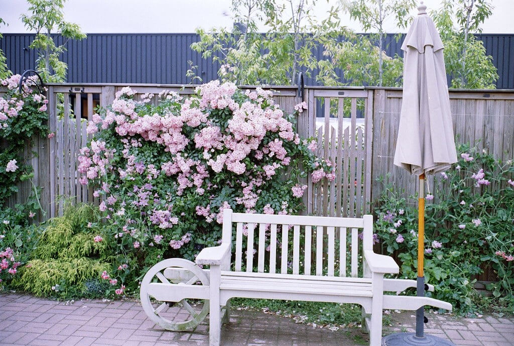 横浜イングリッシュガーデンの写真8