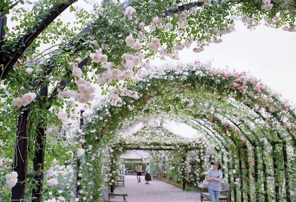 横浜イングリッシュガーデンの写真9