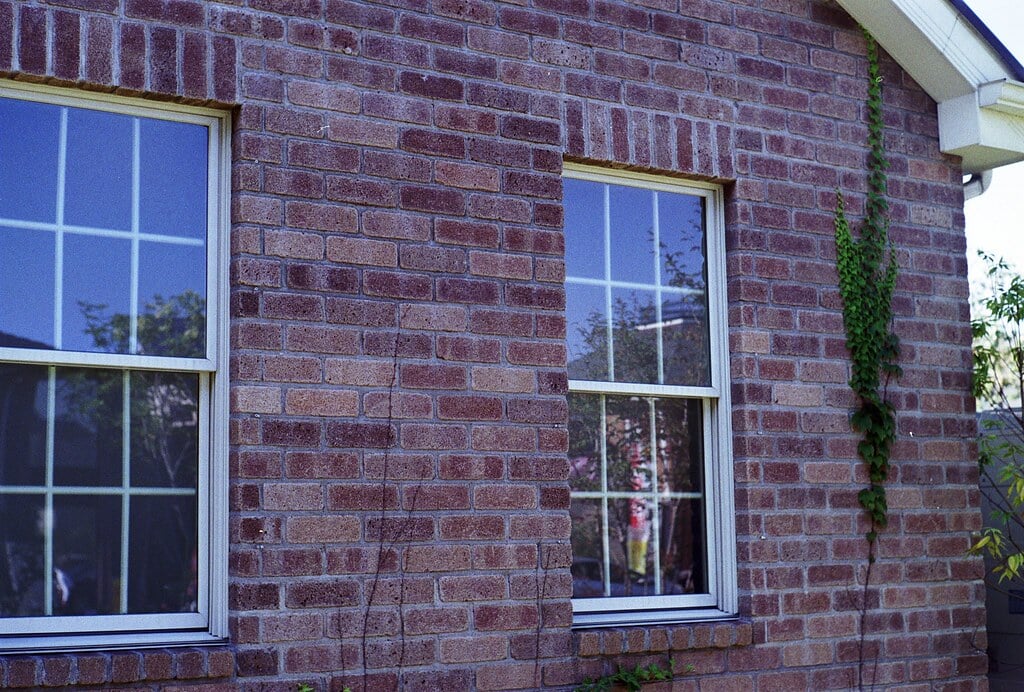 横浜イングリッシュガーデンの写真10