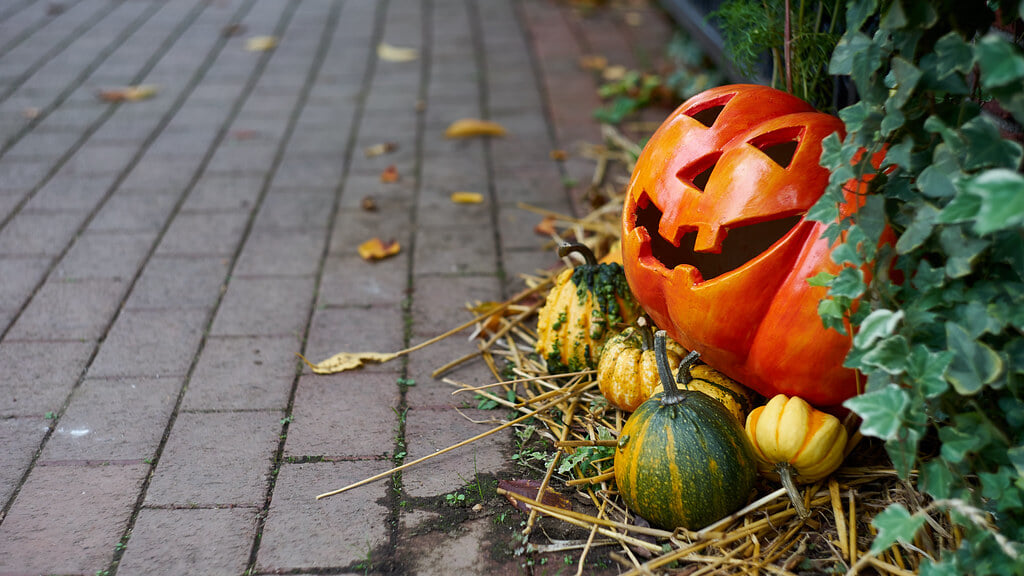 横浜イングリッシュガーデンの写真12