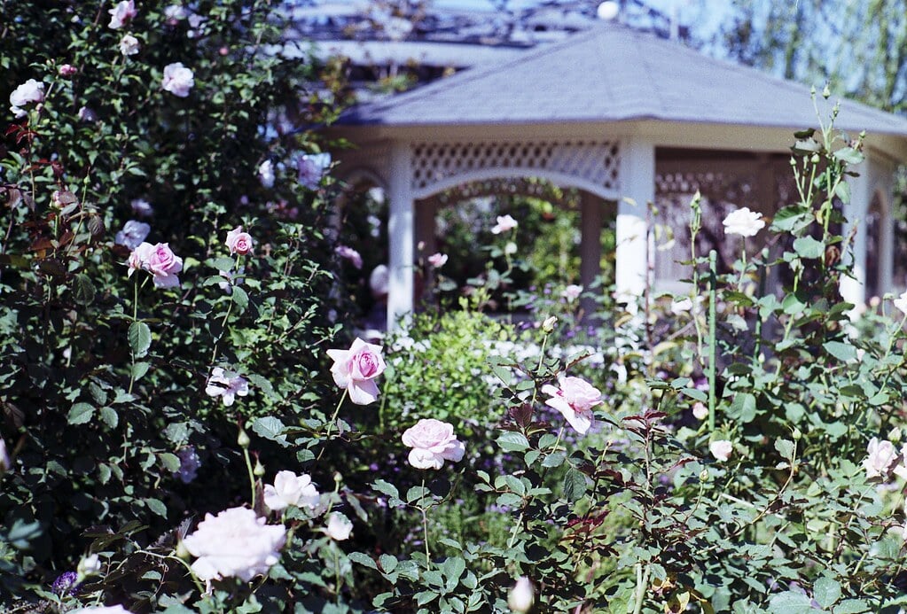 横浜イングリッシュガーデンの写真14