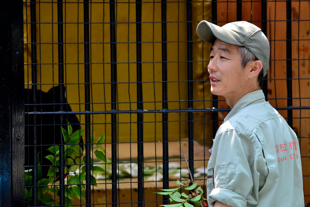 横浜市立 野毛山動物園の写真4