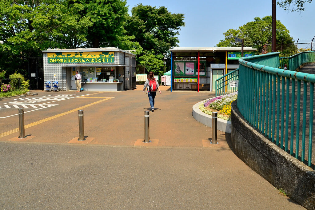 横浜市立 野毛山動物園の写真11