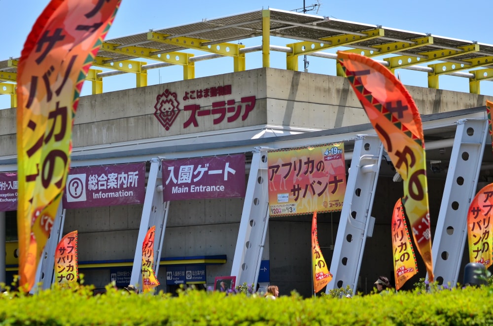 よこはま動物園ズーラシアの写真4