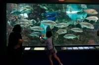 長岡市寺泊水族博物館
