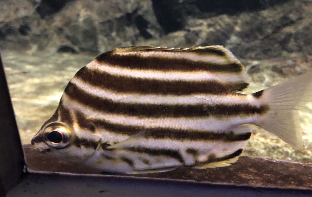 新潟市水族館 マリンピア日本海の写真6