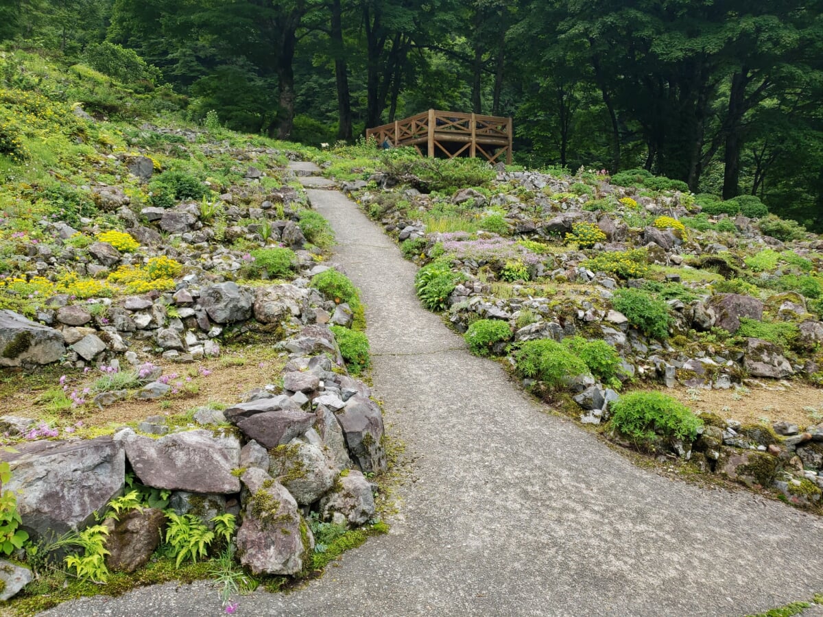 湯沢高原スキー場・アルプの里の写真2