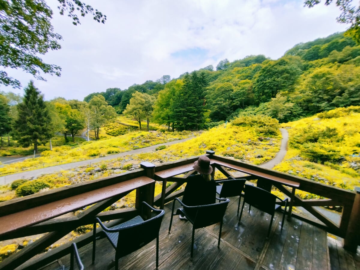 湯沢高原スキー場・アルプの里の写真4