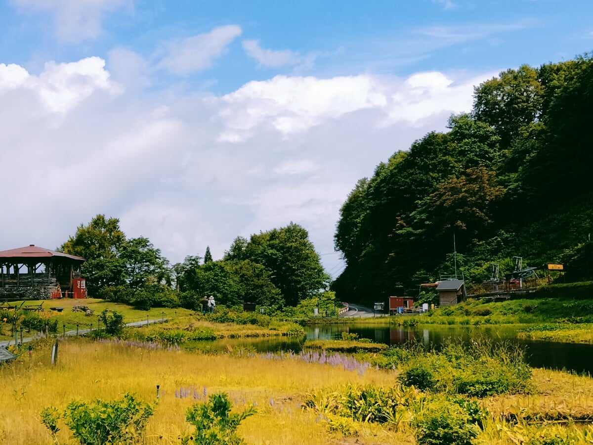 湯沢高原スキー場・アルプの里の写真5