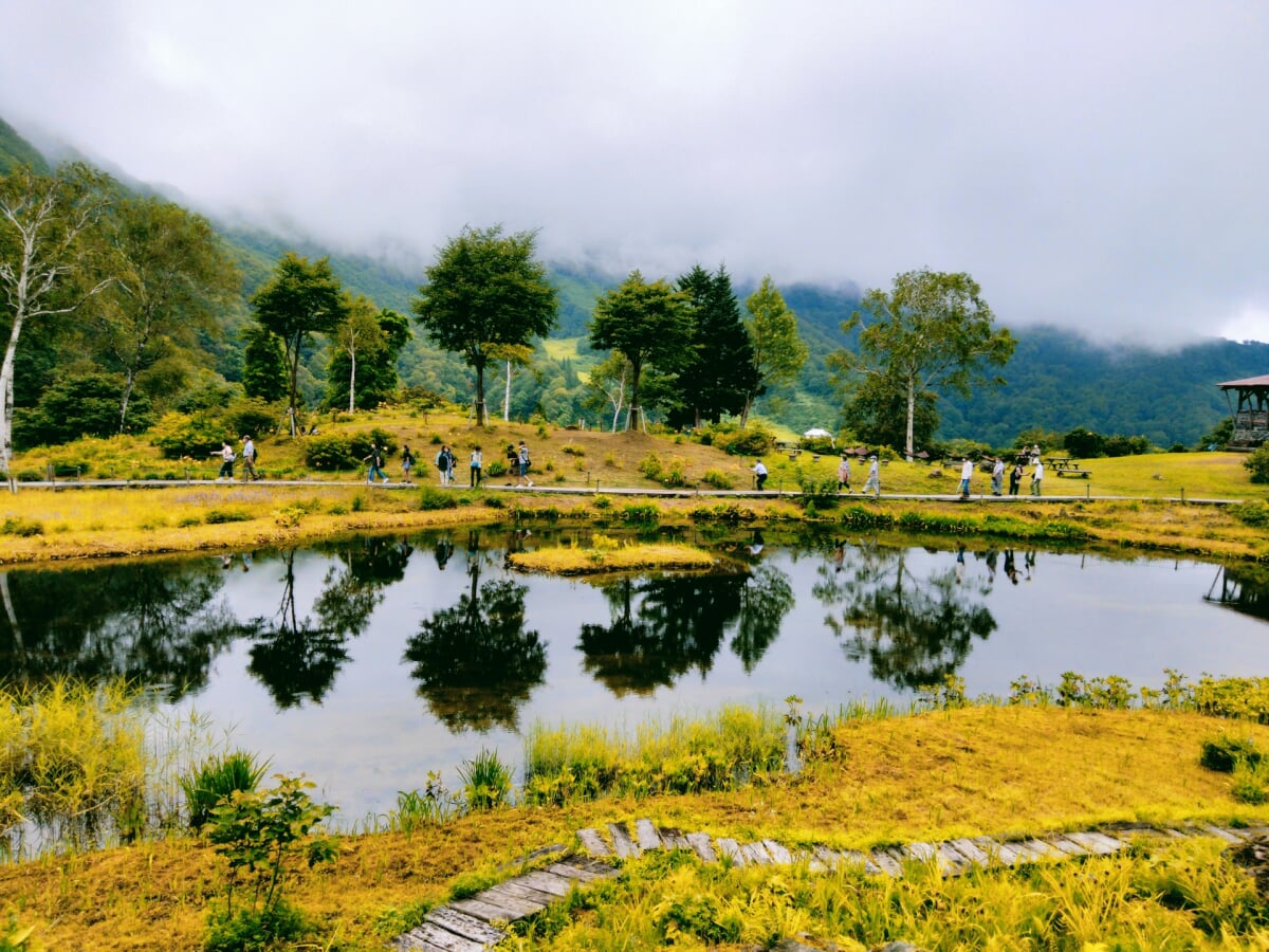 湯沢高原スキー場・アルプの里の写真9