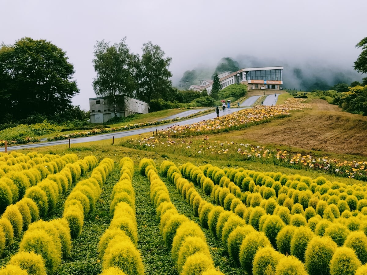 湯沢高原スキー場・アルプの里の写真10