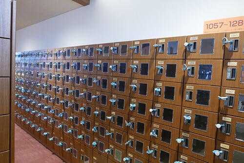 照葉スパリゾートの写真3