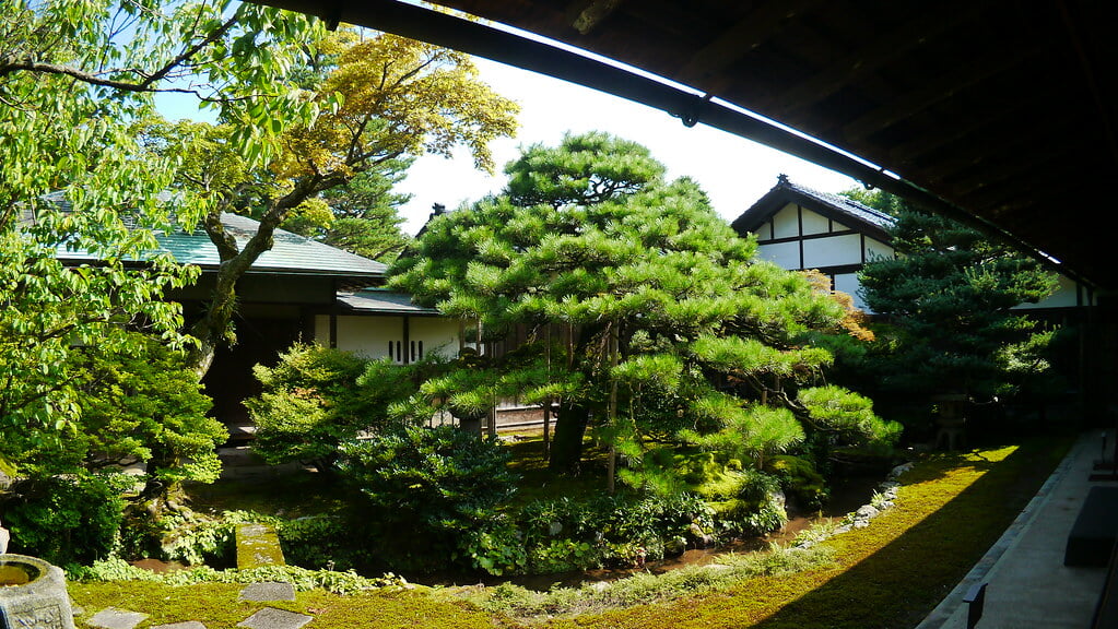 重要文化財 成巽閣の写真2