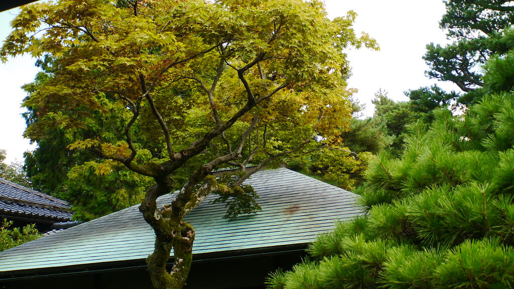 重要文化財 成巽閣の写真7